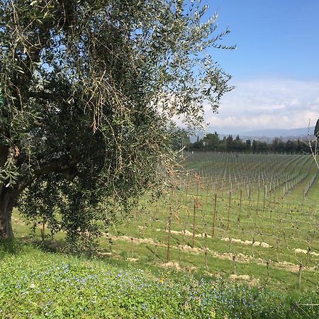 Tenuta La Ca バルドリーノ エクステリア 写真