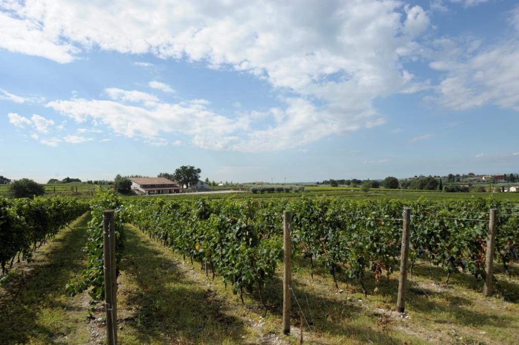 Tenuta La Ca バルドリーノ エクステリア 写真