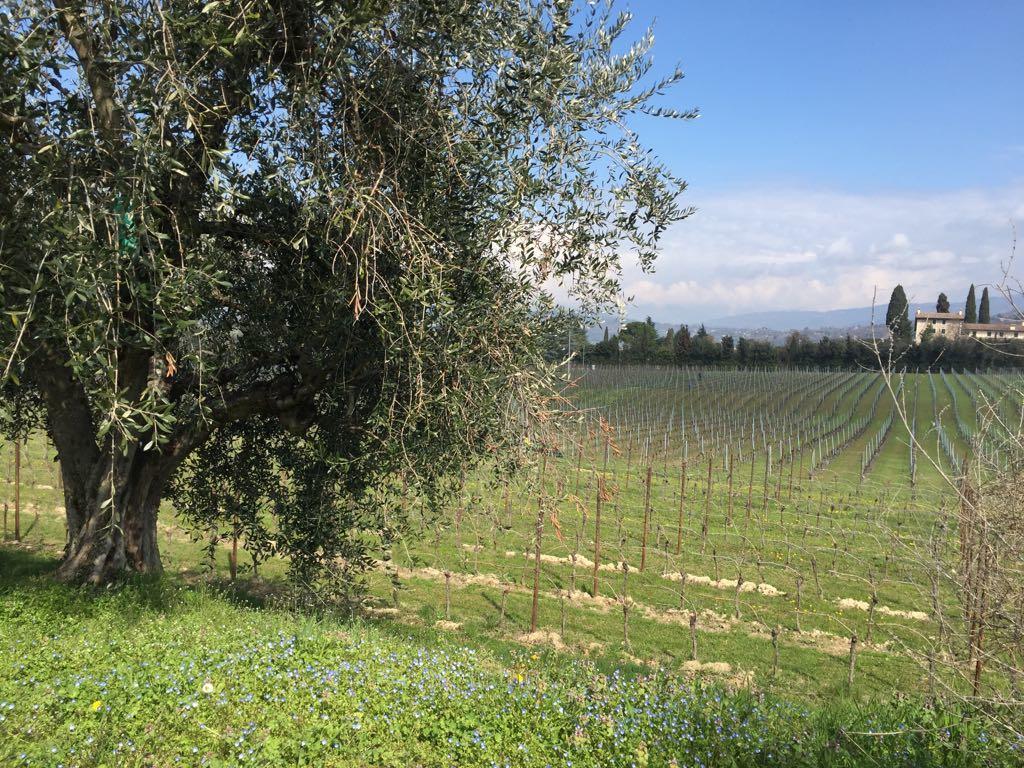 Tenuta La Ca バルドリーノ エクステリア 写真